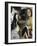 Girlfirends-Ikahl Beckford-Framed Giclee Print