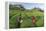 Girls Collecting Tea in Field in Rize, Black Sea Region of Turkey-Ali Kabas-Framed Premier Image Canvas