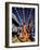 Girls Dancing a Sevillana Beneath Colourful Lanterns, Feria De Abril, Seville, Andalucia, Spain-Ruth Tomlinson-Framed Photographic Print