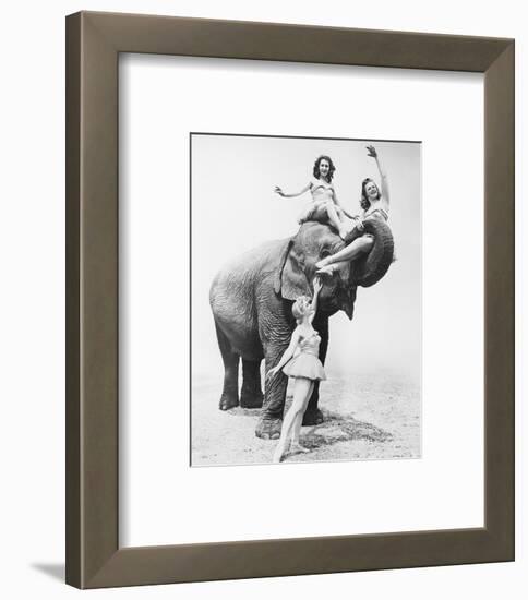 Girls Free Ride on Elephant-null-Framed Art Print