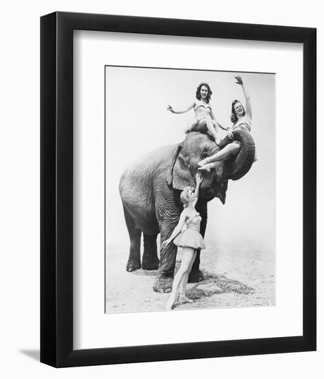 Girls Free Ride on Elephant-null-Framed Art Print