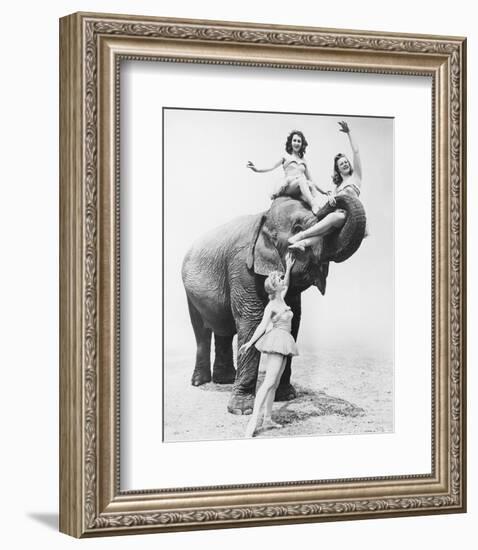 Girls Free Ride on Elephant-null-Framed Art Print