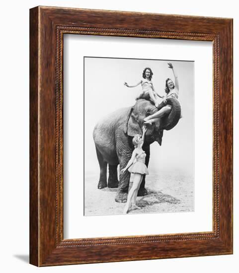 Girls Free Ride on Elephant-null-Framed Art Print