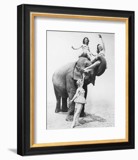 Girls Free Ride on Elephant-null-Framed Art Print