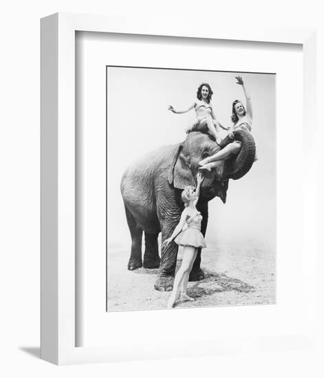 Girls Free Ride on Elephant-null-Framed Art Print