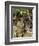 Girls Gathering Blossoms, Valdemosa, Majorca-John Singer Sargent-Framed Giclee Print