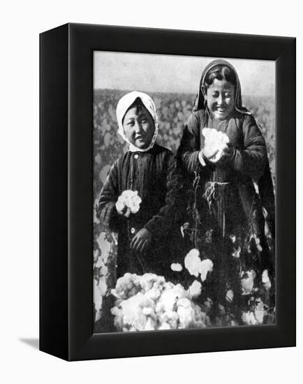 Girls in a Cotton Field, Kazakhstan, 1936-null-Framed Premier Image Canvas