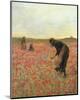 Girls in Poppy Field-Lawren Morris-Mounted Art Print