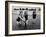 Girls of the Children's School of Modern Dancing, Playing at the Beach-Lisa Larsen-Framed Photographic Print