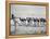 Girls of the Children's School of Modern Dancing, Rehearsing on the Beach-Lisa Larsen-Framed Premier Image Canvas