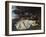 Girls on the Banks of the Seine, 1856/57-Gustave Courbet-Framed Giclee Print