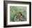 Girls Picking Flowers in a Meadow-Pierre-Auguste Renoir-Framed Art Print