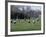 Girls Playing Lacrosse-null-Framed Photographic Print