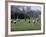 Girls Playing Lacrosse-null-Framed Photographic Print