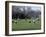 Girls Playing Lacrosse-null-Framed Photographic Print