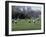 Girls Playing Lacrosse-null-Framed Photographic Print