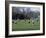 Girls Playing Lacrosse-null-Framed Photographic Print