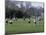 Girls Playing Lacrosse-null-Mounted Photographic Print