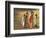 Girls Wearing Sari with Water Jars Walking in the Desert, Pushkar, Rajasthan, India-Keren Su-Framed Photographic Print