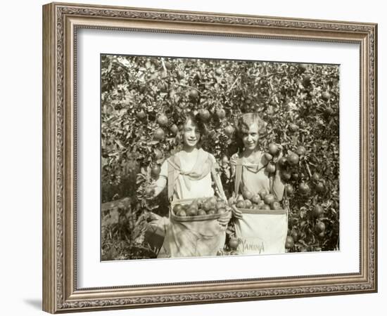 Girls with Apple Harvest, Yakima, 1928-Asahel Curtis-Framed Giclee Print