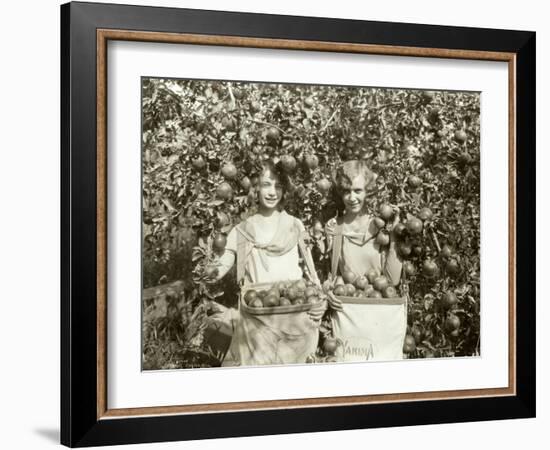 Girls with Apple Harvest, Yakima, 1928-Asahel Curtis-Framed Giclee Print