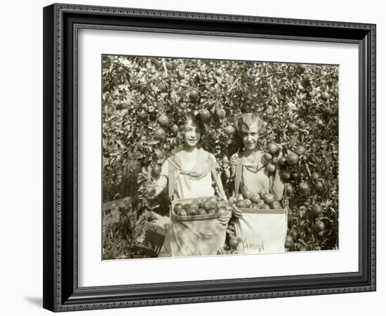 Girls with Apple Harvest, Yakima, 1928-Asahel Curtis-Framed Giclee Print