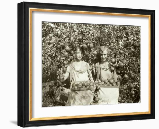 Girls with Apple Harvest, Yakima, 1928-Asahel Curtis-Framed Giclee Print