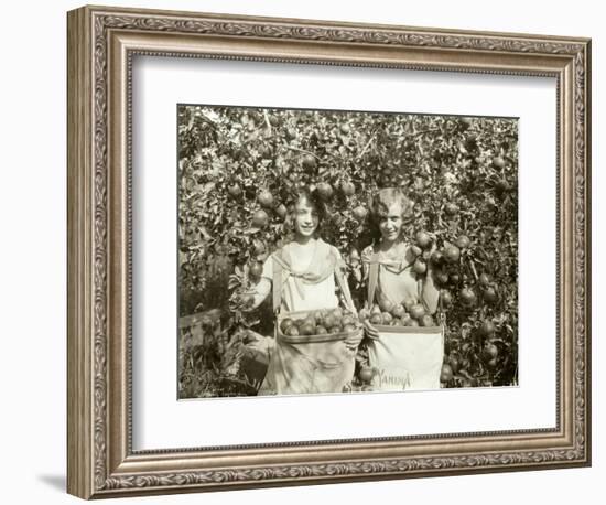 Girls with Apple Harvest, Yakima, 1928-Asahel Curtis-Framed Giclee Print