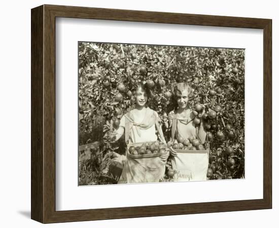 Girls with Apple Harvest, Yakima, 1928-Asahel Curtis-Framed Giclee Print