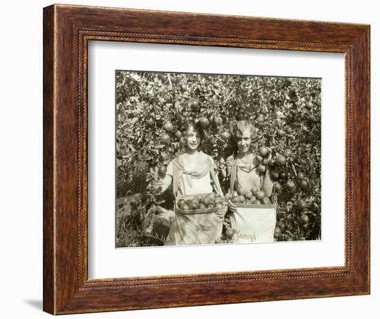 Girls with Apple Harvest, Yakima, 1928-Asahel Curtis-Framed Giclee Print