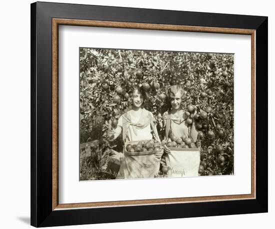 Girls with Apple Harvest, Yakima, 1928-Asahel Curtis-Framed Giclee Print