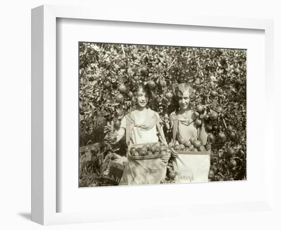 Girls with Apple Harvest, Yakima, 1928-Asahel Curtis-Framed Giclee Print