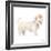 Girly Puppy-Lanie Loreth-Framed Art Print