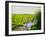 Girondine Meadow-Michel Bultet-Framed Giclee Print