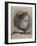 Giulia Bellelli, étude pour La famille Bellelli-Edgar Degas-Framed Giclee Print