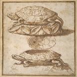 Design for a Lidded Box in the Shape of a Tortoise, Shown Open and Shut-Giulio Romano-Giclee Print