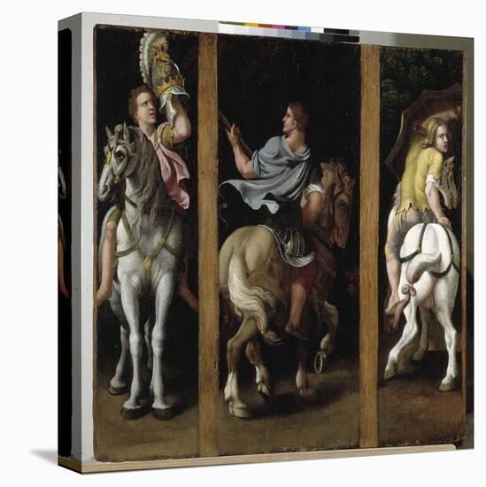 Stretched Canvas Print, , large