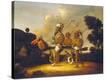 Stretched Canvas Print