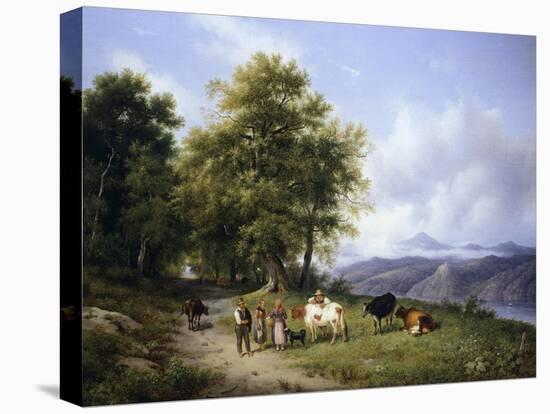 Stretched Canvas Print, , large