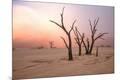 Photographic Print