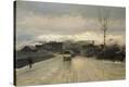 Stretched Canvas Print