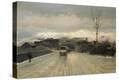 Stretched Canvas Print