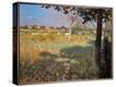 Stretched Canvas Print