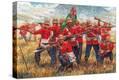 Stretched Canvas Print