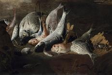 Nature morte. Poissons et crabes-Giuseppe Recco-Framed Giclee Print