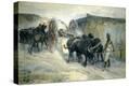 Stretched Canvas Print