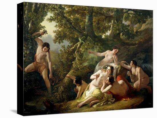 Stretched Canvas Print, , large