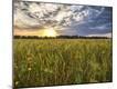 Photographic Print