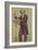 Giuseppe Verdi (Cartoon)-James Tissot-Framed Giclee Print