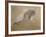 Giuseppe Verdi on His Deathbed-Adolfo Hohenstein-Framed Giclee Print